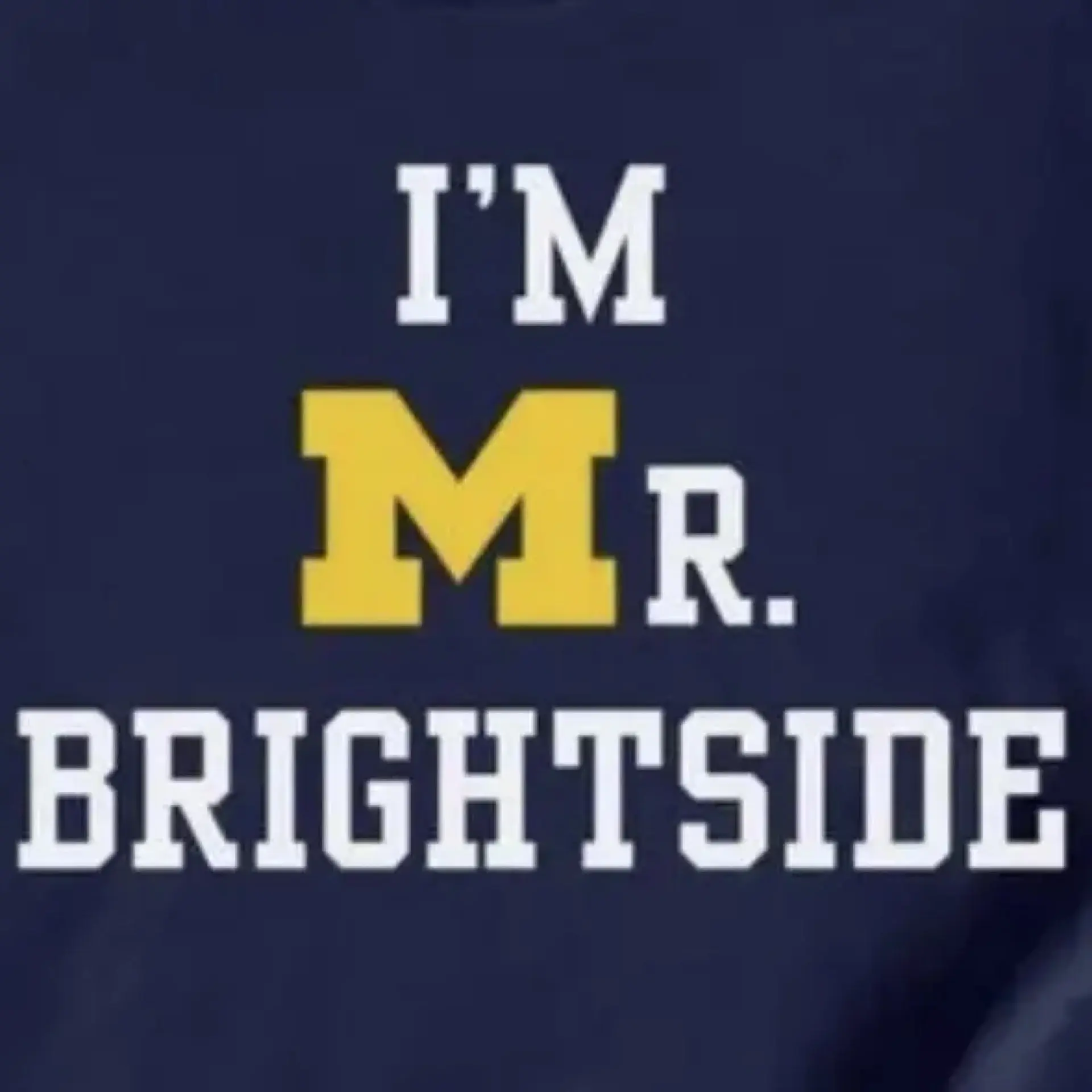 mr.brightside