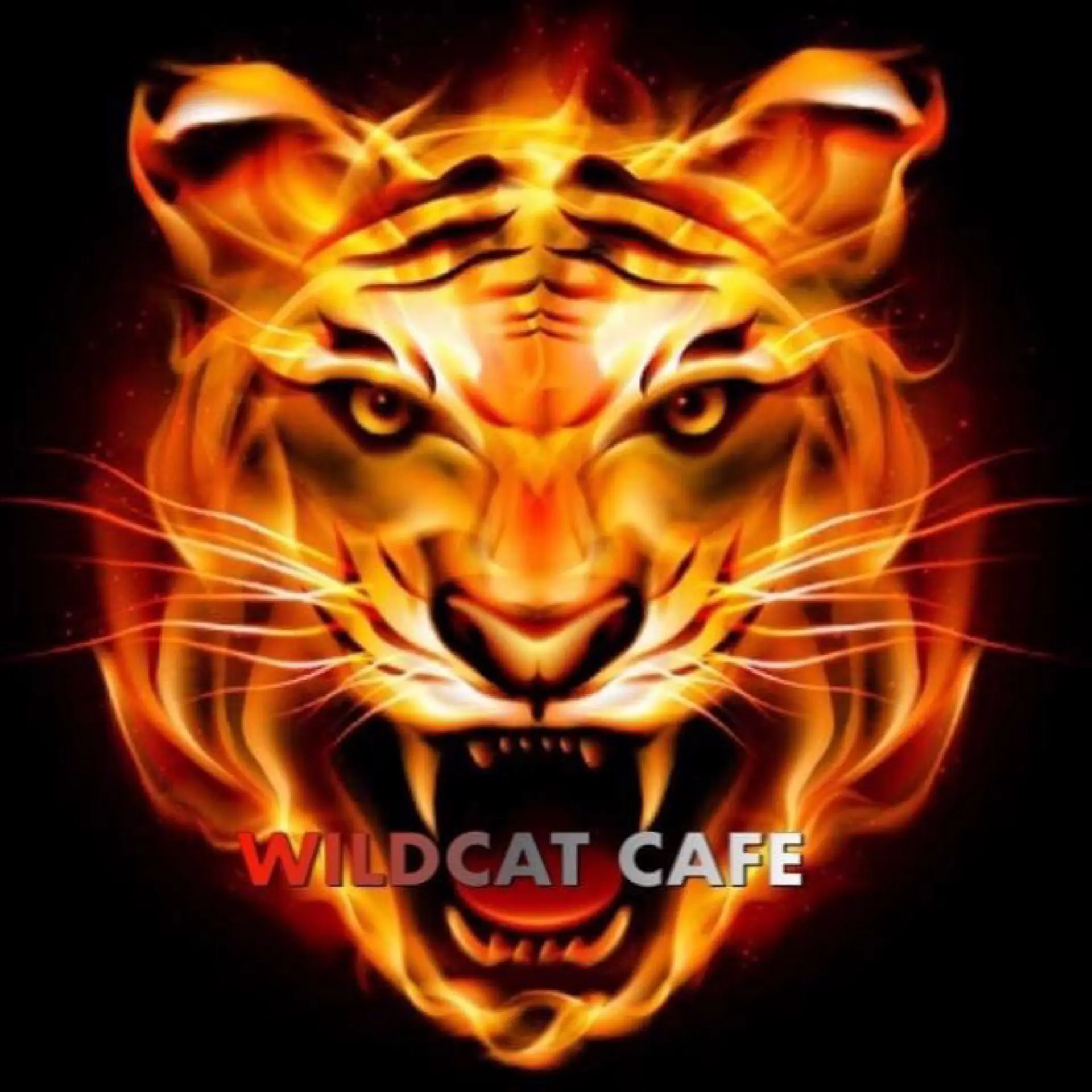 gewildcatcafe