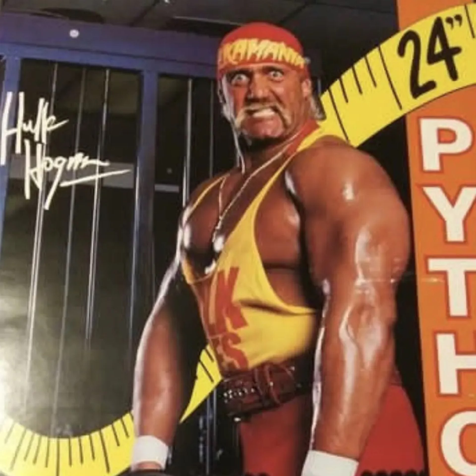 hulk.hogan.Demo